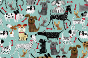 END OF BOLT 27" x 60" - Double Sided Minky - Mutts Cloud Cuddle® in Aqua Sea from Shannon Fabrics - 3mm face, 4mm backing
