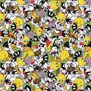 END of BOLT 35" x 60" Digital Minky - Looney Tunes Party in Multi from EZ Fabrics