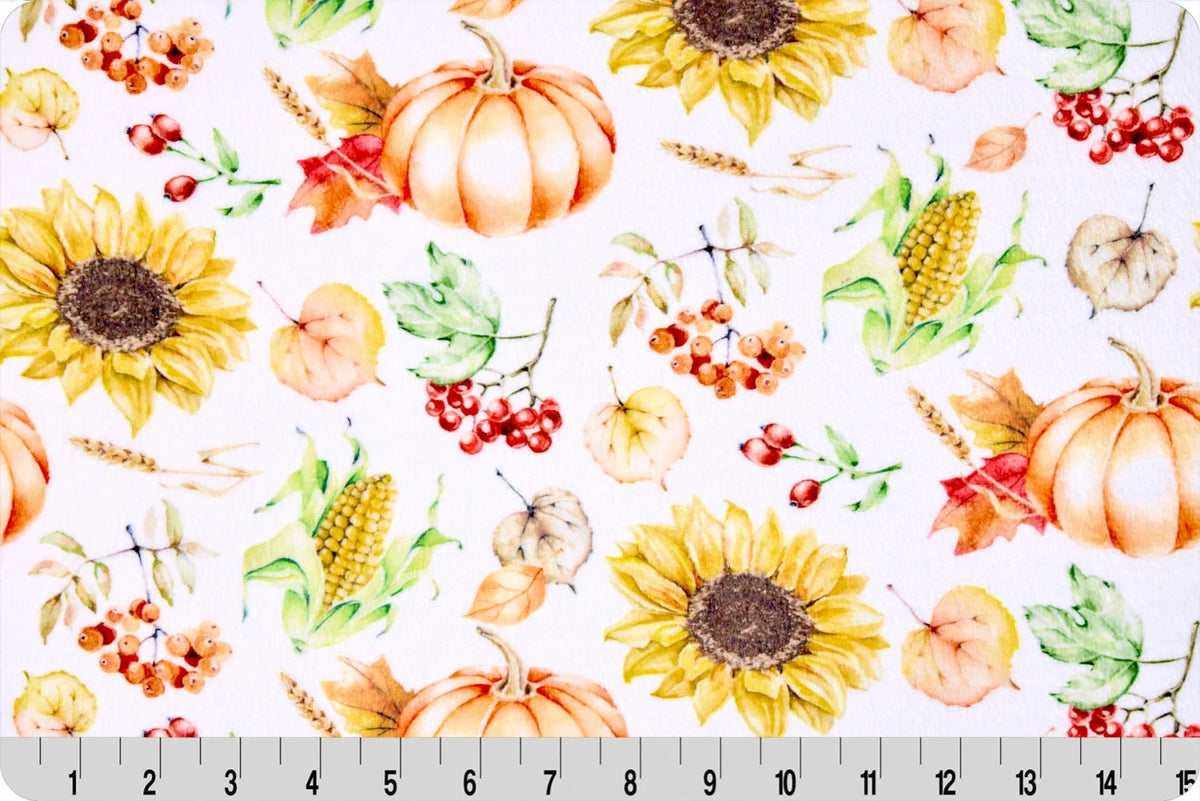 Cloud Cuddle Minky -HARVEST Cloud Cuddle 58/60" Multi Double Sided Minky From Shannon Fabrics