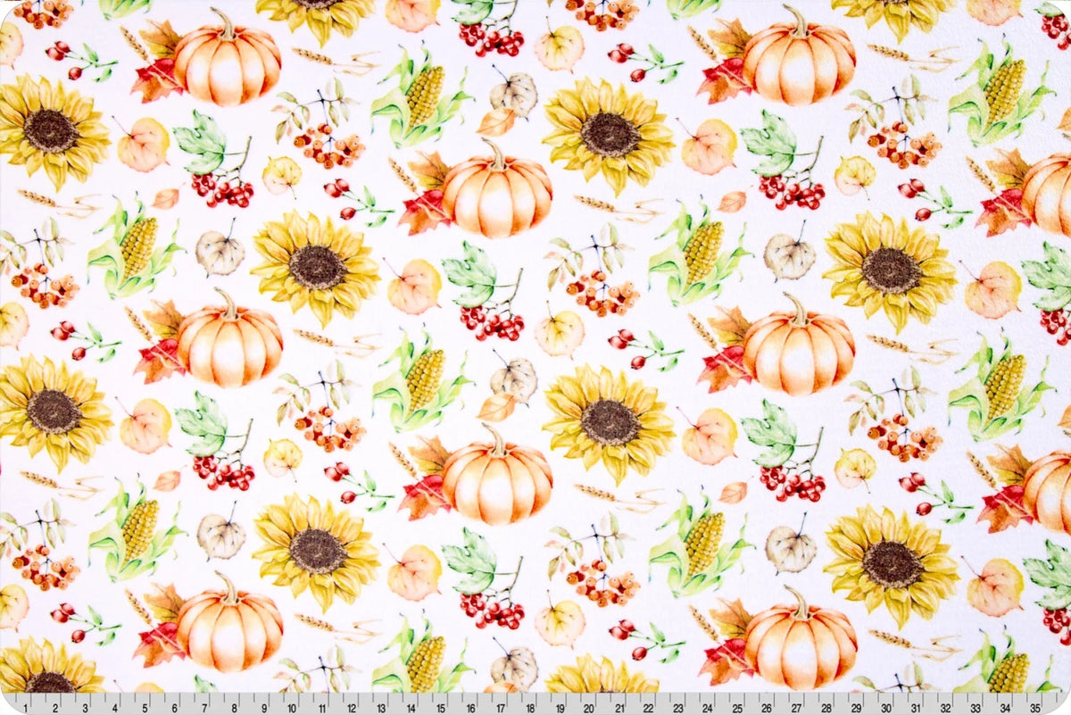 Cloud Cuddle Minky -HARVEST Cloud Cuddle 58/60" Multi Double Sided Minky From Shannon Fabrics