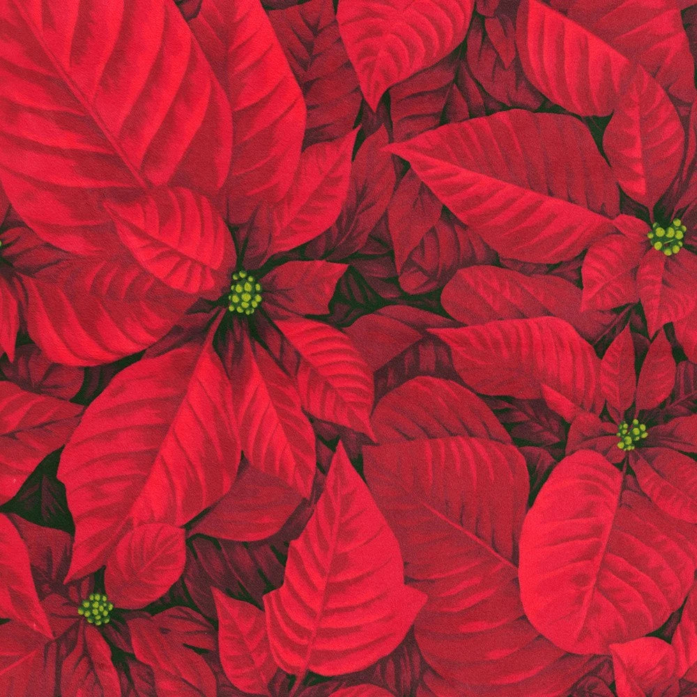 Minky-Poinsettia from Robert Kaufman - 60" Wide