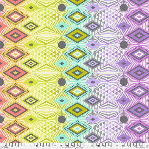 DISCO LUCY - Tabby Road Deja Vu || Tula Pink MINKY Fabric - 60 inches Wide