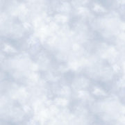 Cloud Texture in Light Blue from the On Safari Collection by Steve Burgess for P&B Textiles BY THE YARD - 100% Cotton