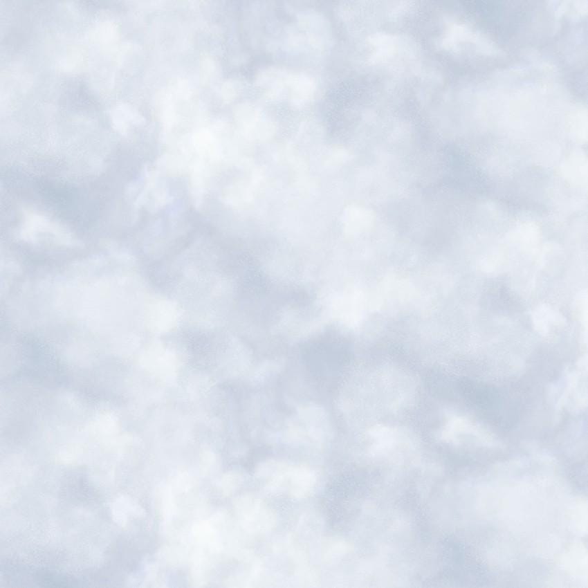 Cloud Texture in Light Blue from the On Safari Collection by Steve Burgess for P&B Textiles BY THE YARD - 100% Cotton