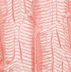 Minky -DISCONTINUED- Luxe Cuddle Mamba CORAL & SNOW From Shannon Fabrics