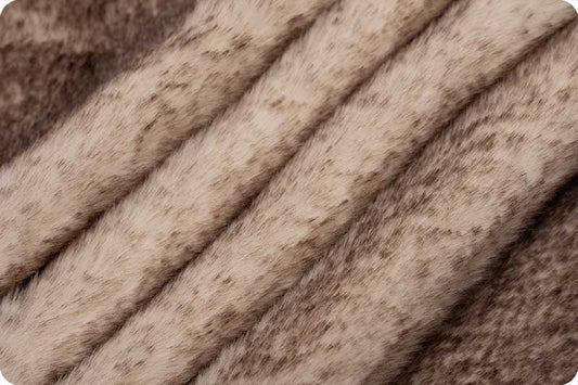 Minky - Luxe Cuddle GLAZED Encore Coffee Cake From Shannon Fabrics