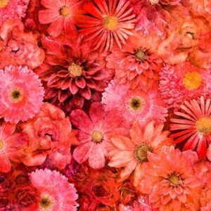 Blossom in Mixed Florals Red from QT Fabrics