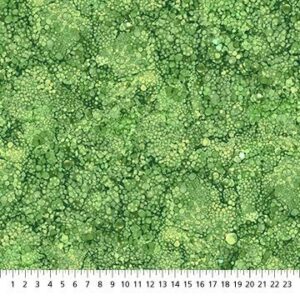 Rainforest from Bliss Basics Collection by Northcott Fabrics