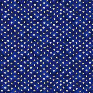 We The People in Patriotic Stars Blue From Timeless Treasures