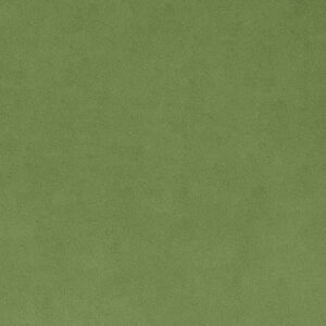 Solid Cuddle® 3 in Olive Smooth Minky